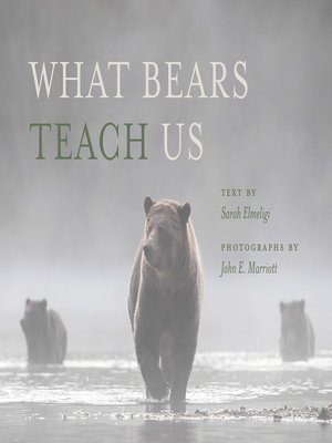 cover image of What Bears Teach Us
